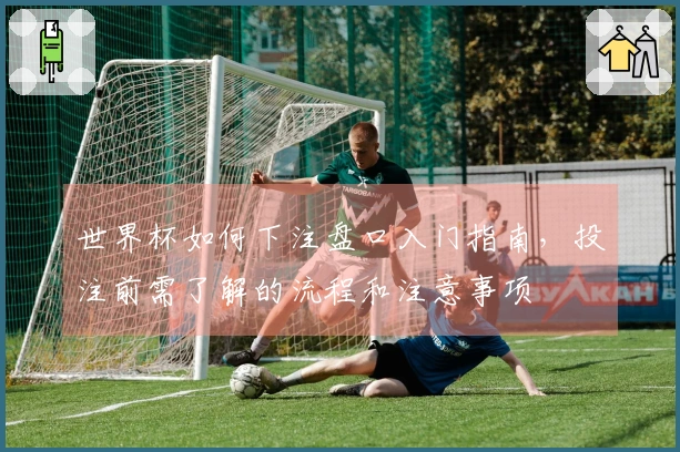 世界杯如何下注盘口入门指南,投注前需了解的流程和注意事项